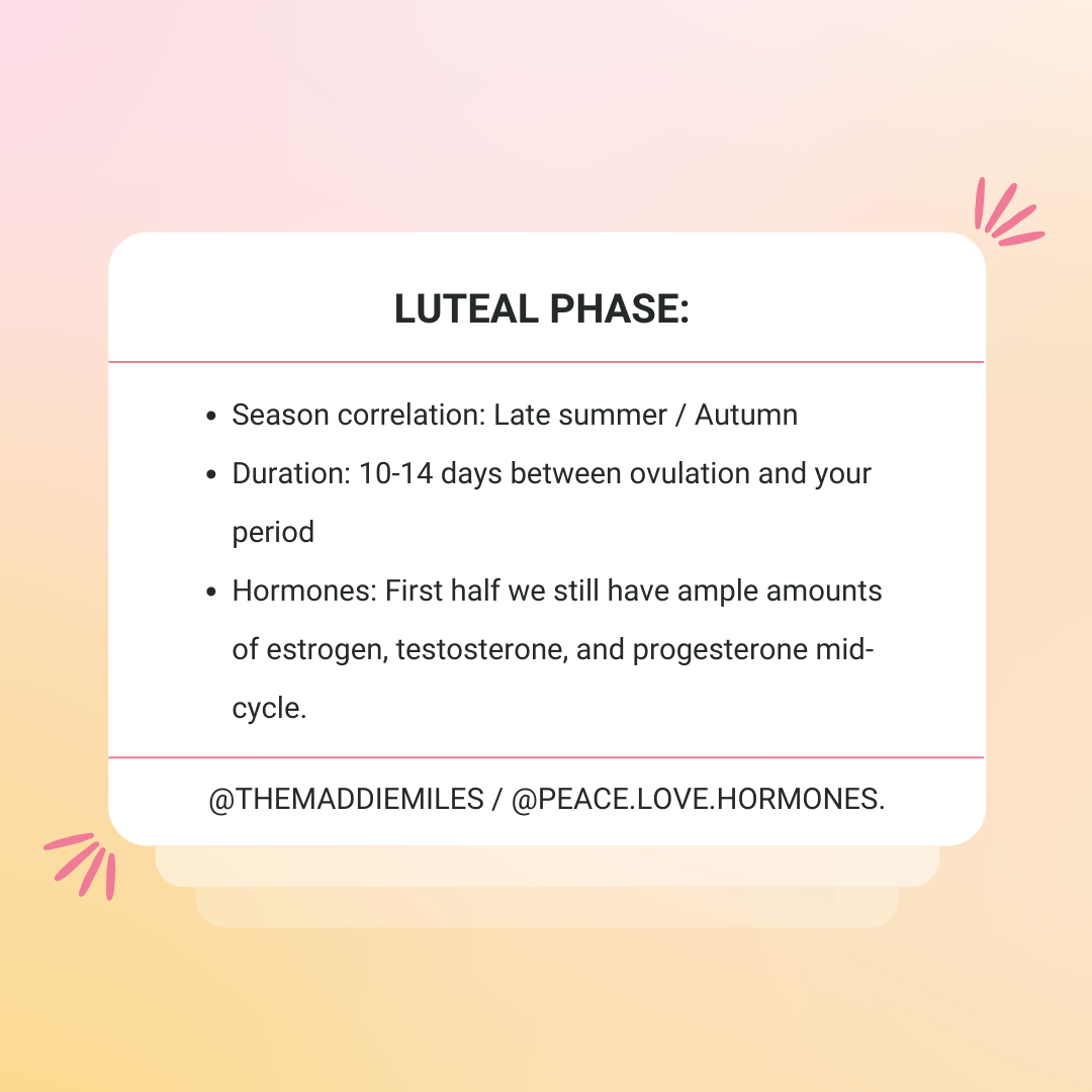 ALIGNING WITH YOUR LUTEAL PHASE🌙 - Your luteal phase is the 12-16